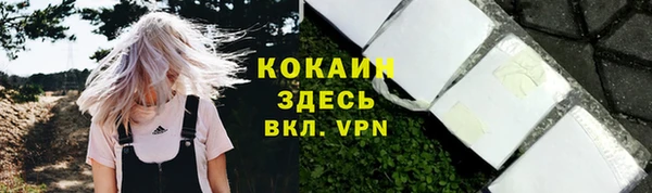 стаф Зеленокумск