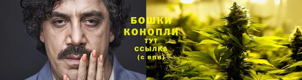 стаф Зеленокумск