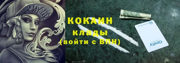 стаф Зеленокумск