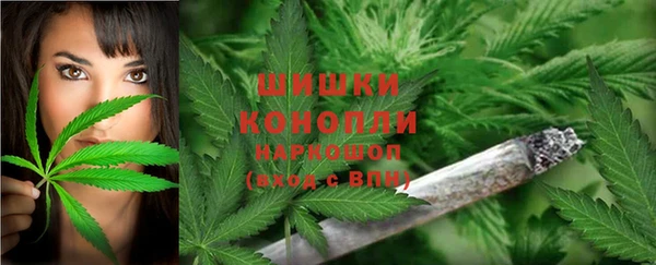 эйфоретик Зеленодольск