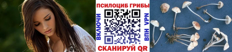 Псилоцибиновые грибы Magic Shrooms  Купить закладки  Бирск 